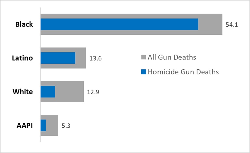 2021 Gun death rates, by race and ethnicity, with insert bar representing homicides. 